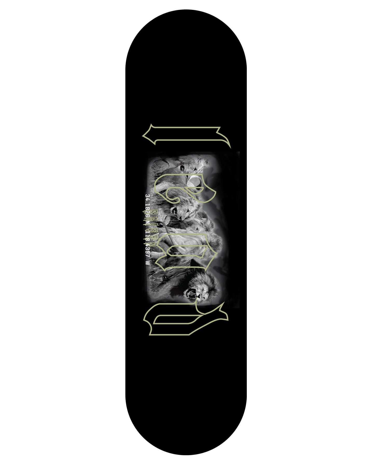 LEAD LIONS DECK